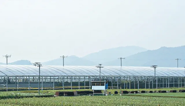 教育机构如何通过内训服务提升教学质量
